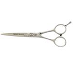 SCISSORS- NINJA  Trophy